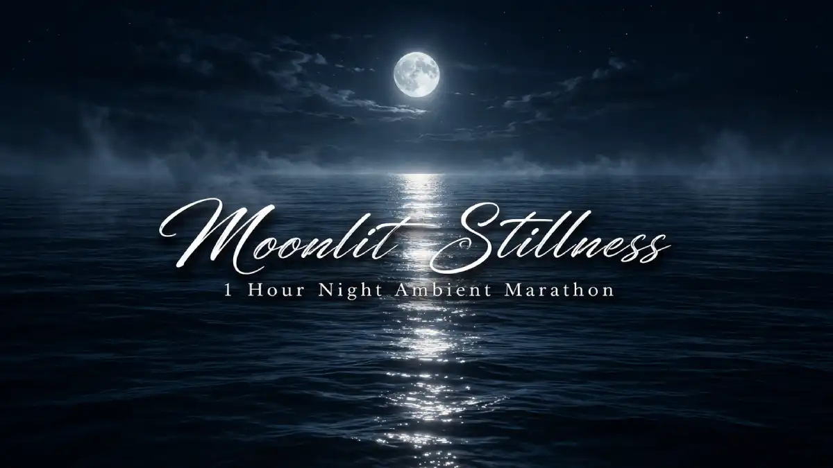 Moonlit Stillness — ZyloChord #038 artwork